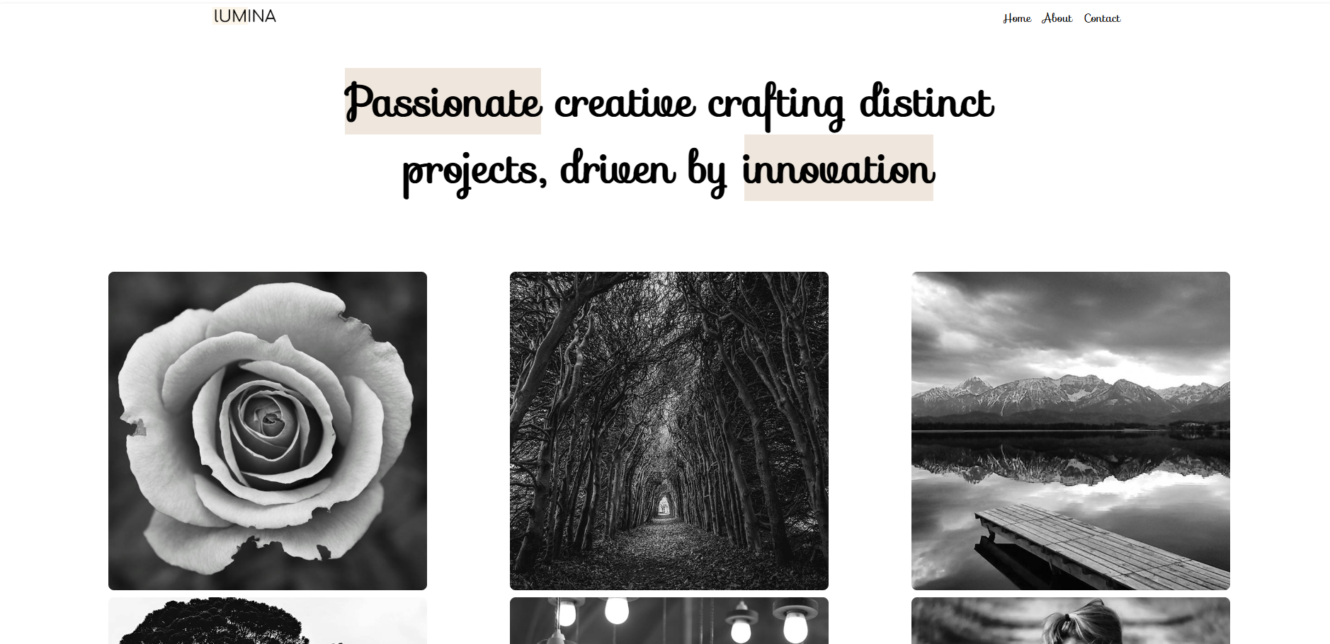 Lumina website project preview